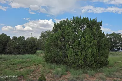 8442 Cochise Circle, Show Low, AZ 85901 - Photo 2