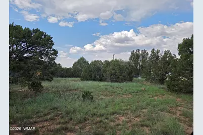 8442 Cochise Circle, Show Low, AZ 85901 - Photo 1