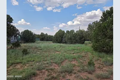 8442 Cochise Circle, Show Low, AZ 85901 - Photo 4