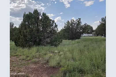 8442 Cochise Circle, Show Low, AZ 85901 - Photo 6