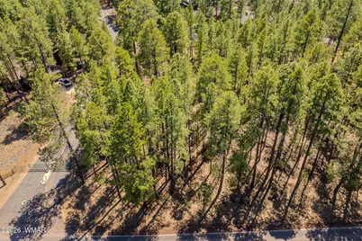 4583 Sky Hi Road, Pinetop, AZ 85935 - Photo 20