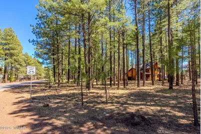 4583 Sky Hi Road, Pinetop, AZ 85935 - Photo 8