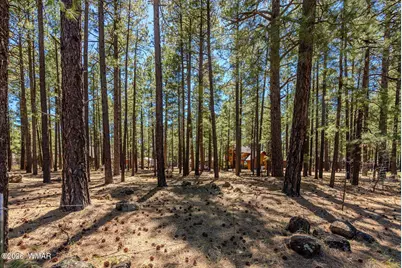 4583 Sky Hi Road, Pinetop, AZ 85935 - Photo 32