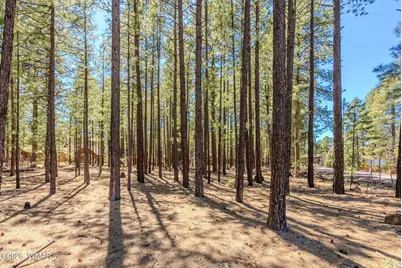 4583 Sky Hi Road, Pinetop, AZ 85935 - Photo 42
