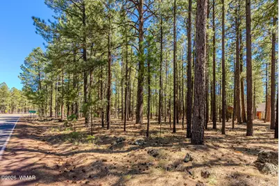 4583 Sky Hi Road, Pinetop, AZ 85935 - Photo 34