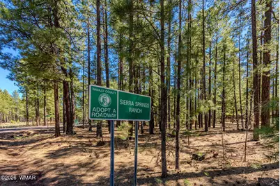 4583 Sky Hi Road, Pinetop, AZ 85935 - Photo 14