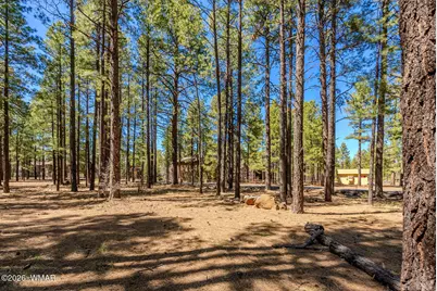 4583 Sky Hi Road, Pinetop, AZ 85935 - Photo 16