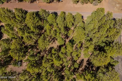 4583 Sky Hi Road, Pinetop, AZ 85935 - Photo 24