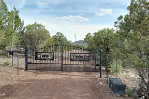 20 Acr N3287, Vernon, AZ 85940 - Photo 50