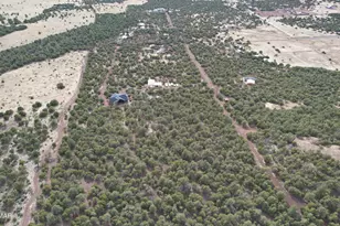 20 Acr N3287, Vernon, AZ 85940 - Photo 44