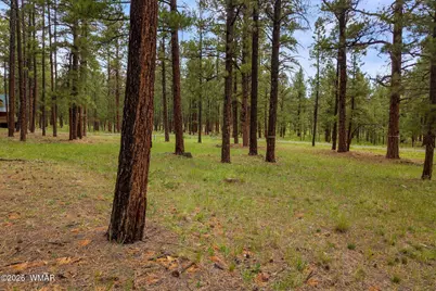 12 N1067, Greer, AZ 85927 - Photo 4