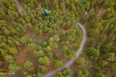 12 N1067, Greer, AZ 85927 - Photo 10