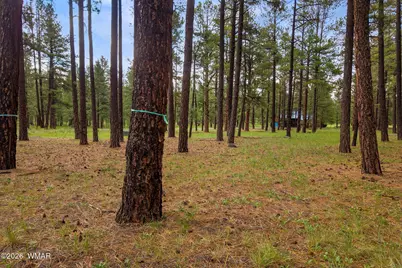 12 N1067, Greer, AZ 85927 - Photo 20