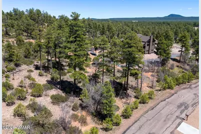 6007 Rim Road, Lakeside, AZ 85929 - Photo 1