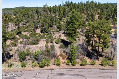 6007 Rim Road, Lakeside, AZ 85929 - Photo 4