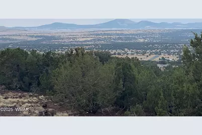 61 County Road 8027, Concho, AZ 85924 - Photo 18
