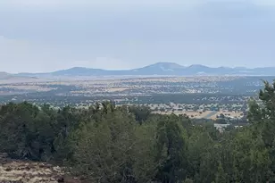 61 County Road 8027, Concho, AZ 85924 - Photo 18