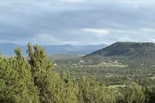 61 County Road 8027, Concho, AZ 85924 - Photo 10