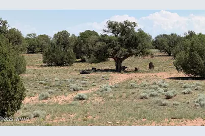 104 N N9201, Concho, AZ 85924 - Photo 30