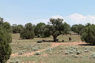 104 N N9201, Concho, AZ 85924 - Photo 30