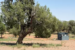 104 N N9201, Concho, AZ 85924 - Photo 44
