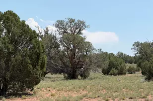 104 N N9201, Concho, AZ 85924 - Photo 26