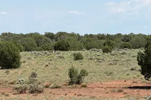 104 N N9201, Concho, AZ 85924 - Photo 28
