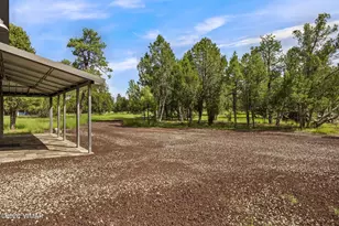 2970 Pine Rim Rd, Overgaard, AZ 85933 - Photo 16