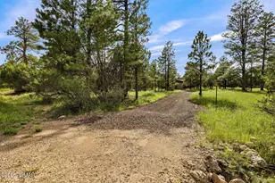 2970 Pine Rim Rd, Overgaard, AZ 85933 - Photo 24