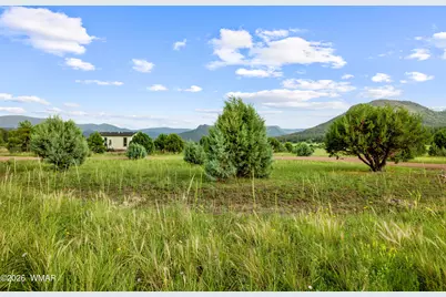 2 N 2166, Nutrioso, AZ 85932 - Photo 22