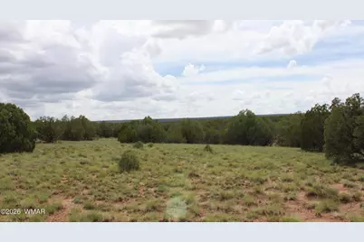 Tbd N8595, Concho, AZ 85924 - Photo 12
