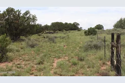 Tbd N8595, Concho, AZ 85924 - Photo 8