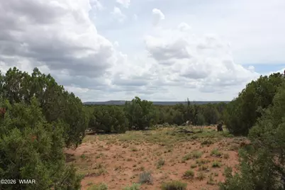 Tbd N8595, Concho, AZ 85924 - Photo 1