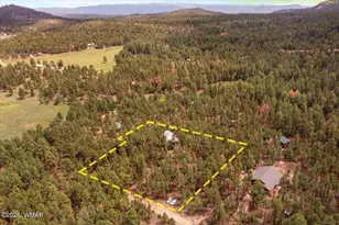 14 County Rd 2135, Alpine, AZ 85920 - Photo 40