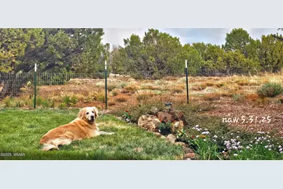 3 N3122, Vernon, AZ 85940 - Photo 26