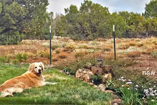 3 N3122, Vernon, AZ 85940 - Photo 26