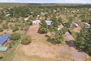 1087 Aspen Way, Show Low, AZ 85901 - Photo 48