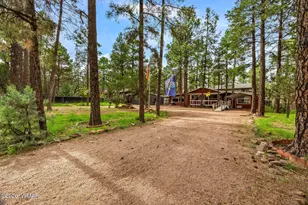 2144 Indian Trail, Overgaard, AZ 85933 - Photo 4