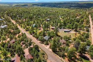 2976 Pine Rim Rd, Overgaard, AZ 85933 - Photo 28