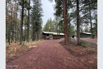 56 County Road 2266, Alpine, AZ 85920 - Photo 12