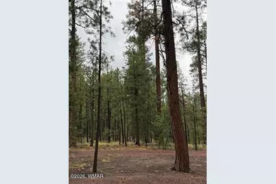 56 County Road 2266, Alpine, AZ 85920 - Photo 20