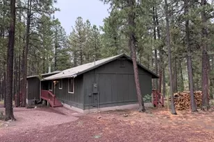 56 County Road 2266, Alpine, AZ 85920 - Photo 26