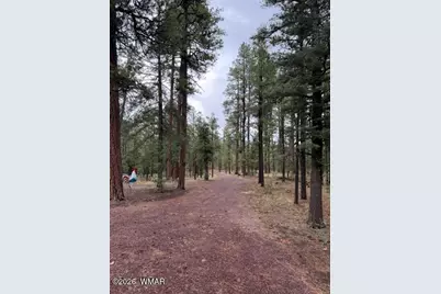 56 County Road 2266, Alpine, AZ 85920 - Photo 22