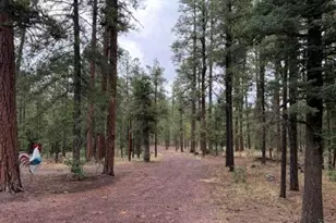 56 County Road 2266, Alpine, AZ 85920 - Photo 22