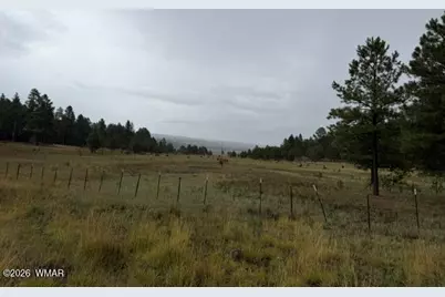 56 County Road 2266, Alpine, AZ 85920 - Photo 50