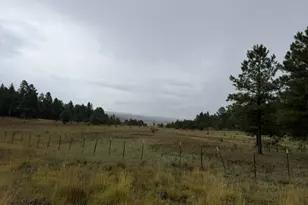 56 County Road 2266, Alpine, AZ 85920 - Photo 50