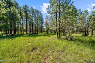 2873 Turkey Trail, Overgaard, AZ 85933 - Photo 34