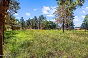 2873 Turkey Trail, Overgaard, AZ 85933 - Photo 30
