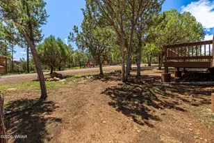 2244 Double Bogey Way, Overgaard, AZ 85933 - Photo 2
