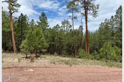 15 County Road 2083, Alpine, AZ 85920 - Photo 1